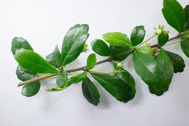 Similar image 18151994