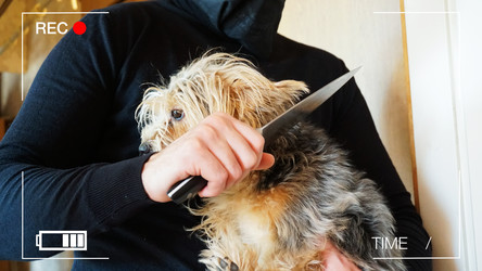 Similar image 18512889