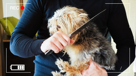 Similar image 18512901