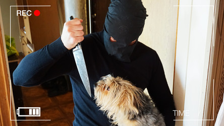 Similar image 18512913