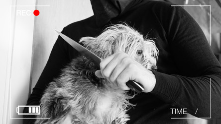 Similar image 18512915