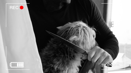 Similar image 18512930