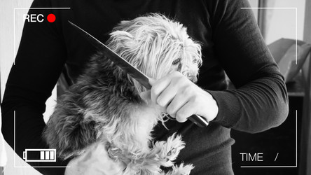 Similar image 18512932