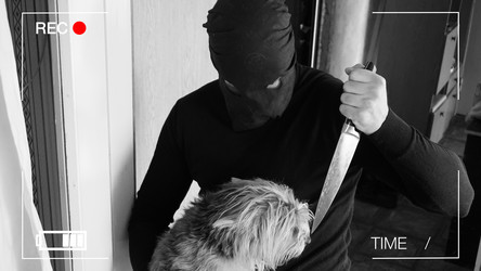 Similar image 18512954