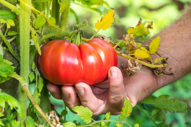 Similar image 18140393