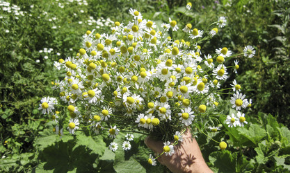 Similar image 18510556