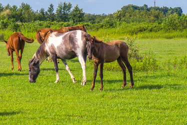 Similar image 18140583