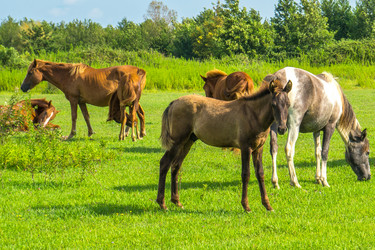 Similar image 18140584