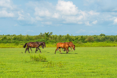 Similar image 18140591