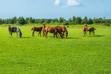 Similar image 18140595