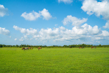 Similar image 18140598