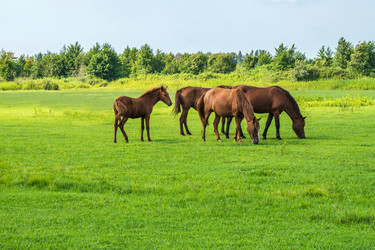 Similar image 18140582