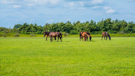 Similar image 18140586