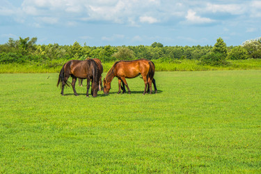 Similar image 18140593