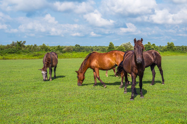 Similar image 18140597