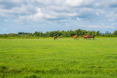 Similar image 18140585