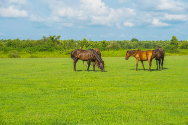 Similar image 18140588