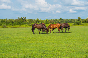 Similar image 18140592