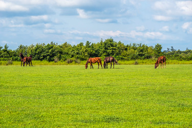 Similar image 18140596