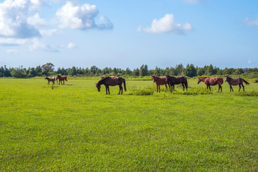 Similar image 18140600