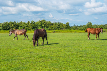 Similar image 18140603