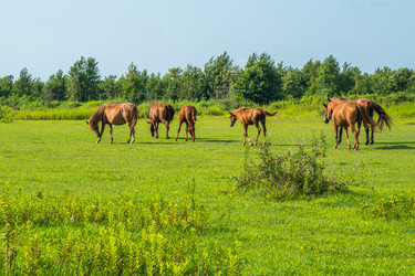 Similar image 18140607