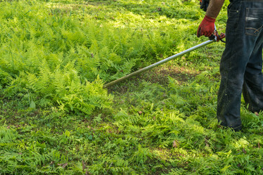 Similar image 18140696