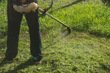 Similar image 18139817