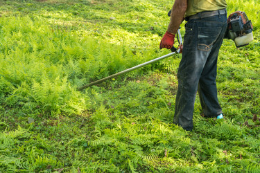 Similar image 18139818