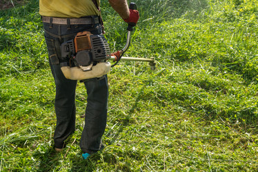 Similar image 18139839