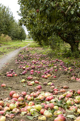 Similar image 17818318