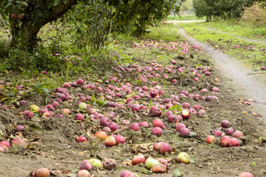 Similar image 18136818