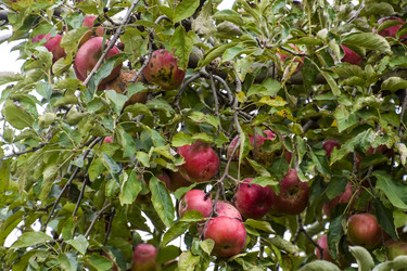 Similar image 18508539