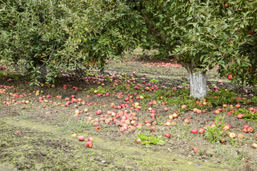 Similar image 18510733