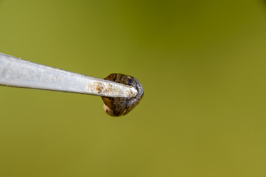 Similar image 17560501