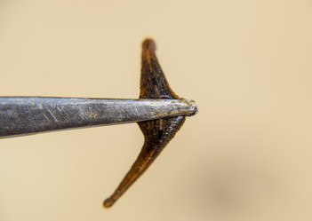 Similar image 17560506