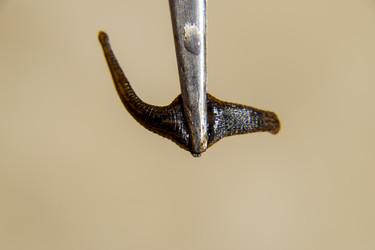 Similar image 17560510