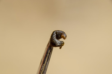 Similar image 17818326