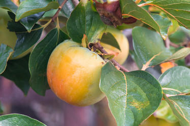 Similar image 18140606