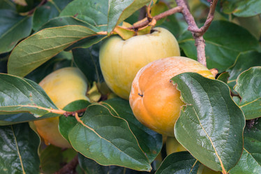 Similar image 18140613