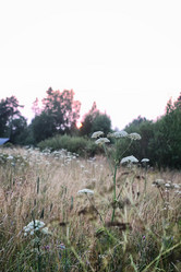 Similar image 18152050