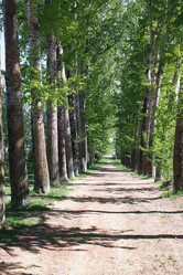 Similar image 18156168