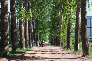 Similar image 18156281