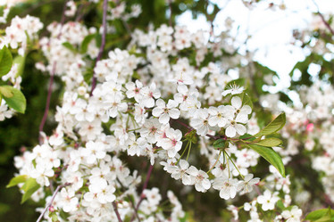 Similar image 18152051