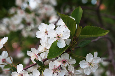 Similar image 18156176