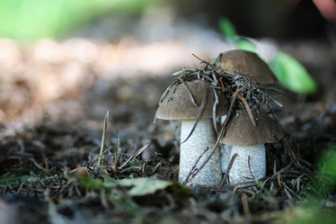 Similar image 18156173