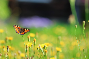 Similar image 18156252