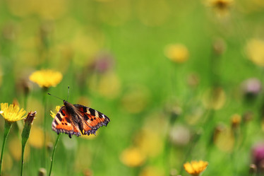 Similar image 18156345