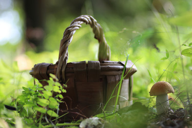 Similar image 18156720