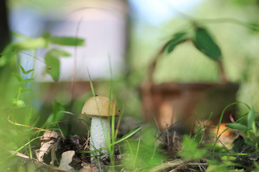 Similar image 18156742